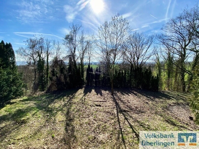 Ausblick aus 1. OG Abriss-Objekt