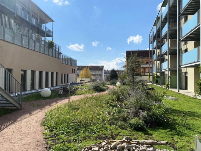 Bild1