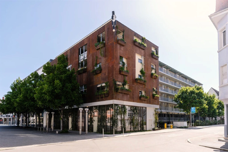 Bild12