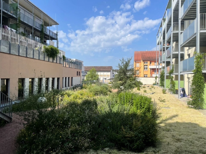 Bild4