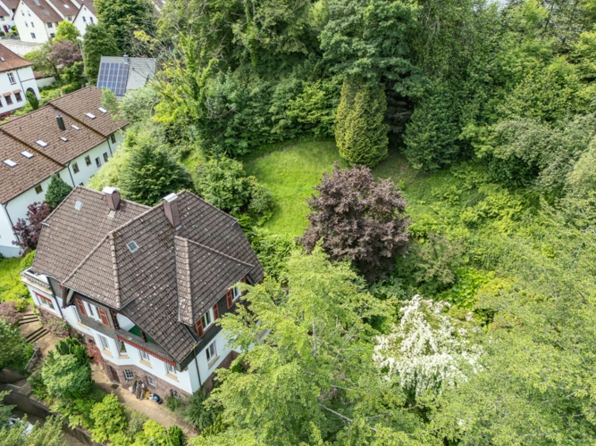 Schramberg Sommer