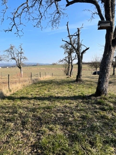 Markelfingen (5)