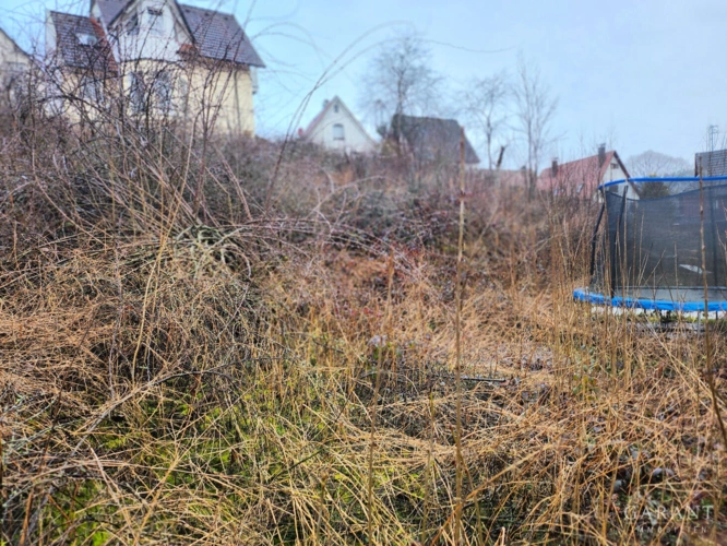 Wohngrundstück