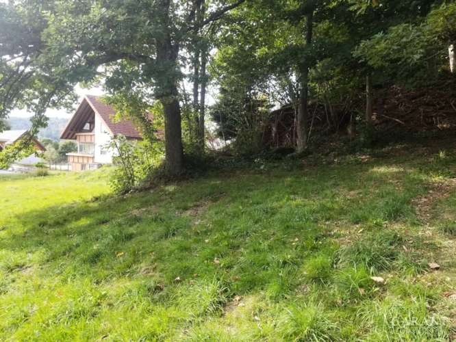 Ansicht