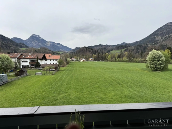 Blick ins Grüne