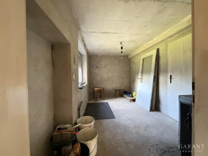 IMG 0842