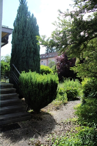 Garten Teilansicht
