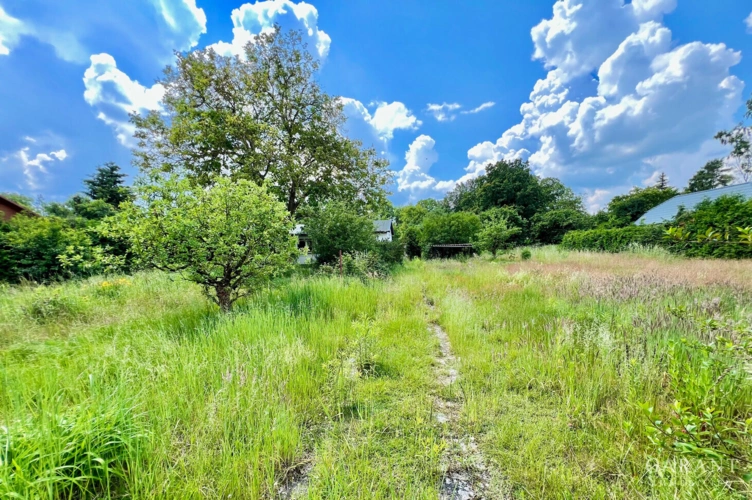 Garten Blick.Mitte.Grundstück1