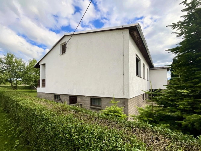 IMG 2016