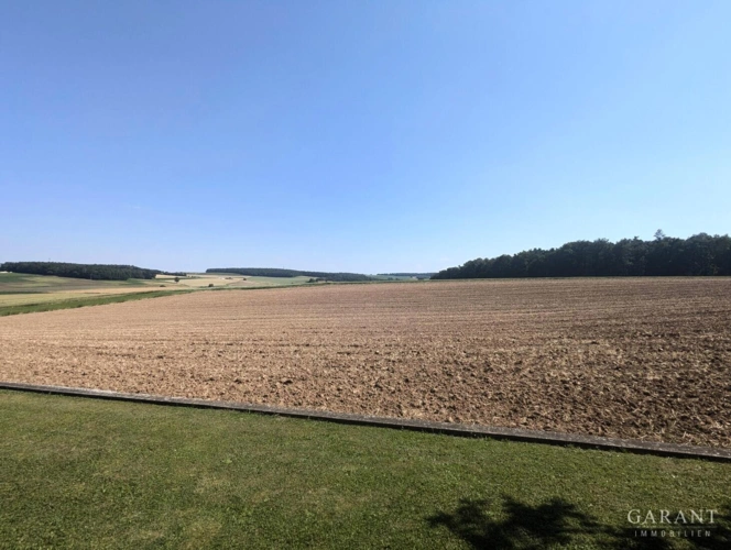 Acker Blick nach Süden