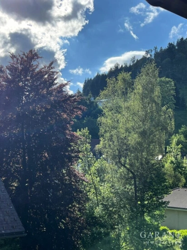 Ausblick