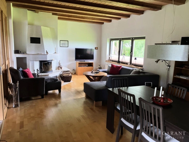 Wohnzimmer, Kaminofen