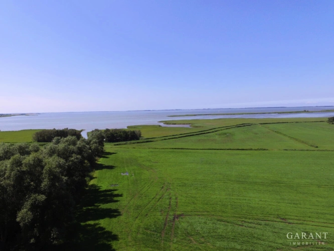 DJI 0097