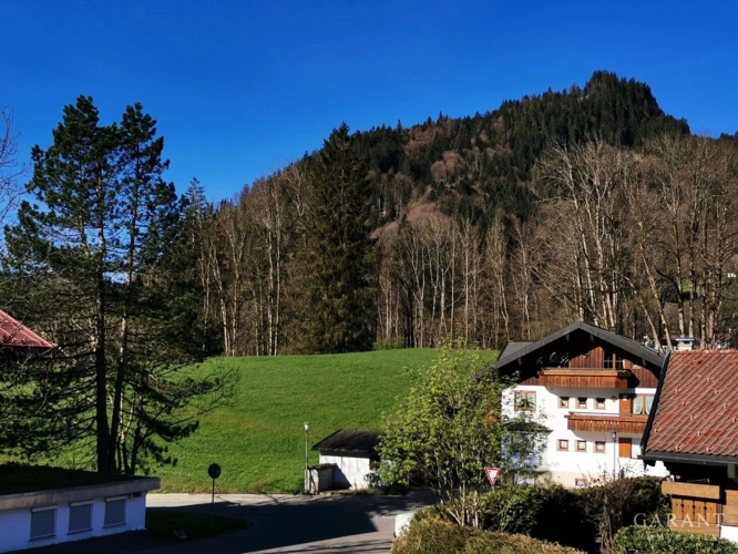 Blick-ins-Gruene