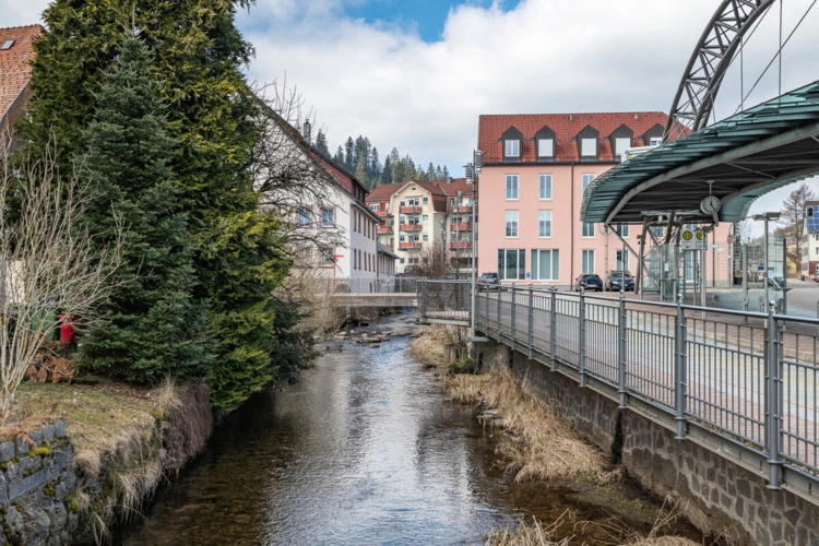 Stadt Furtwangen (10)