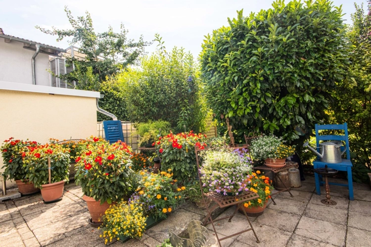 Garten_1