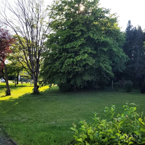 Garten 2