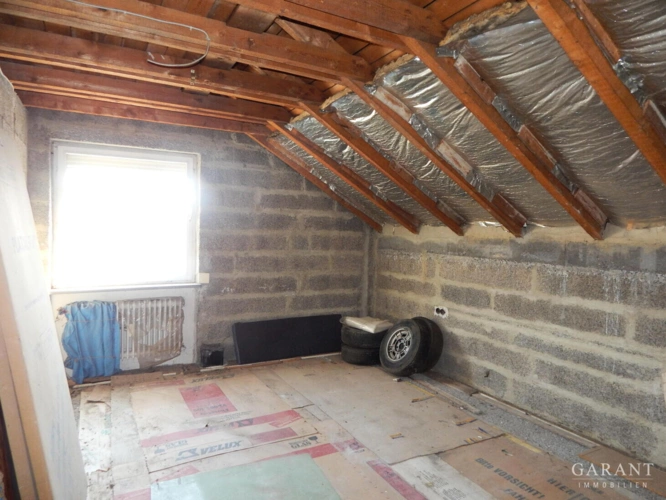 DSCN5866