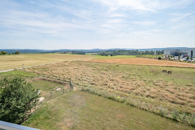 Dauchingen (16)