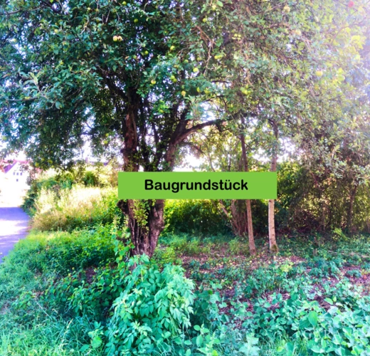 Baugrundstück