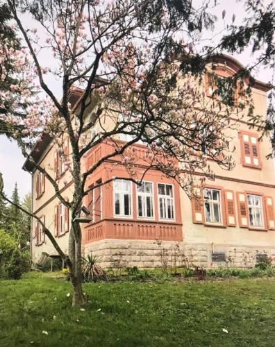 Bild6