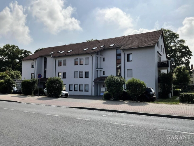 IMG 0393-1