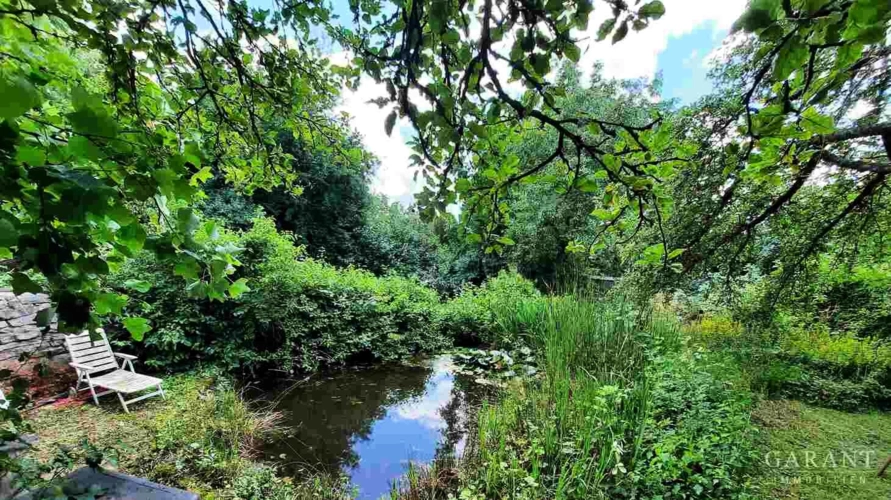 Gartenteich