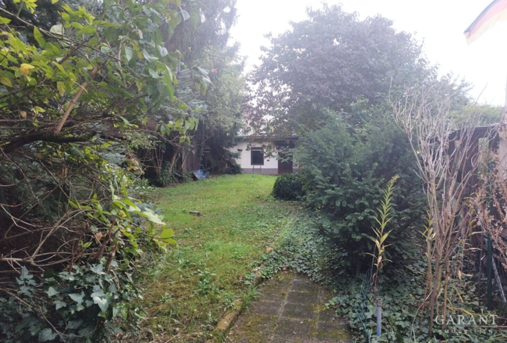 IMG-20240928-WA0009