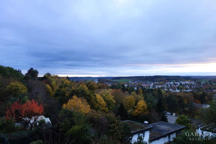 Panoramablick