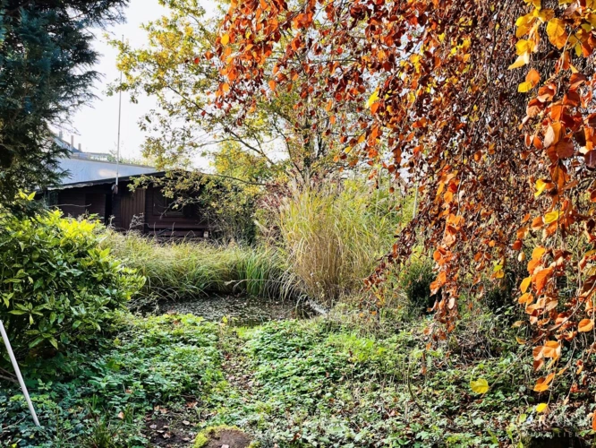Teich mit Gartenhaus