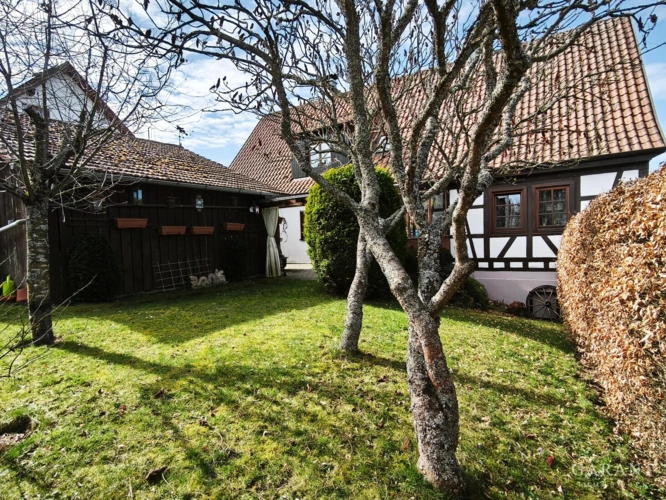 Garten