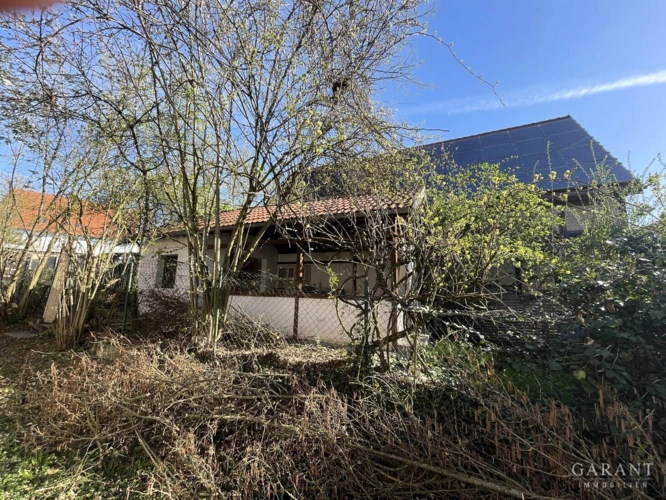 Gartenlaube
