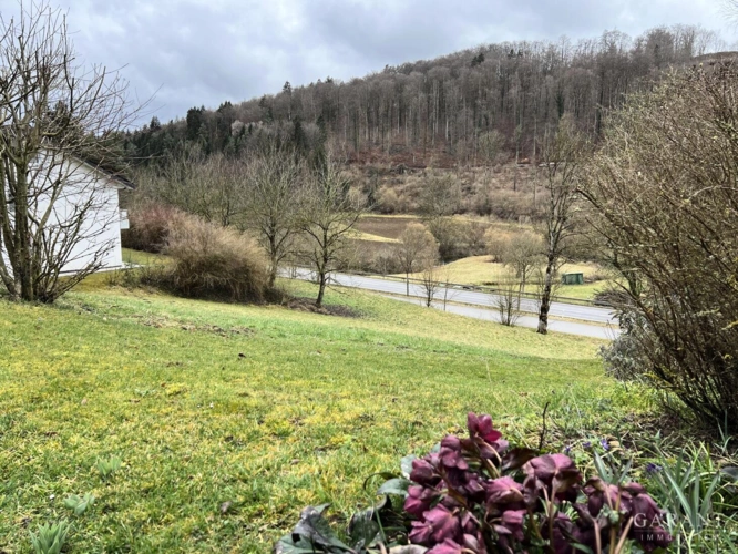 Aussicht