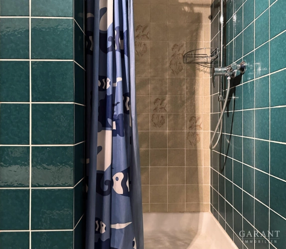Dusche im Bad, OG