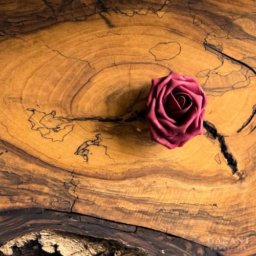 01 Herz für Holz