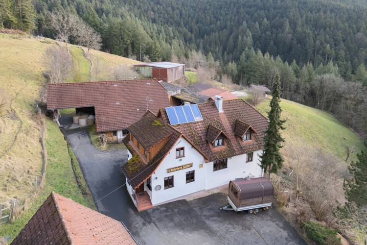 Schiltach (33)