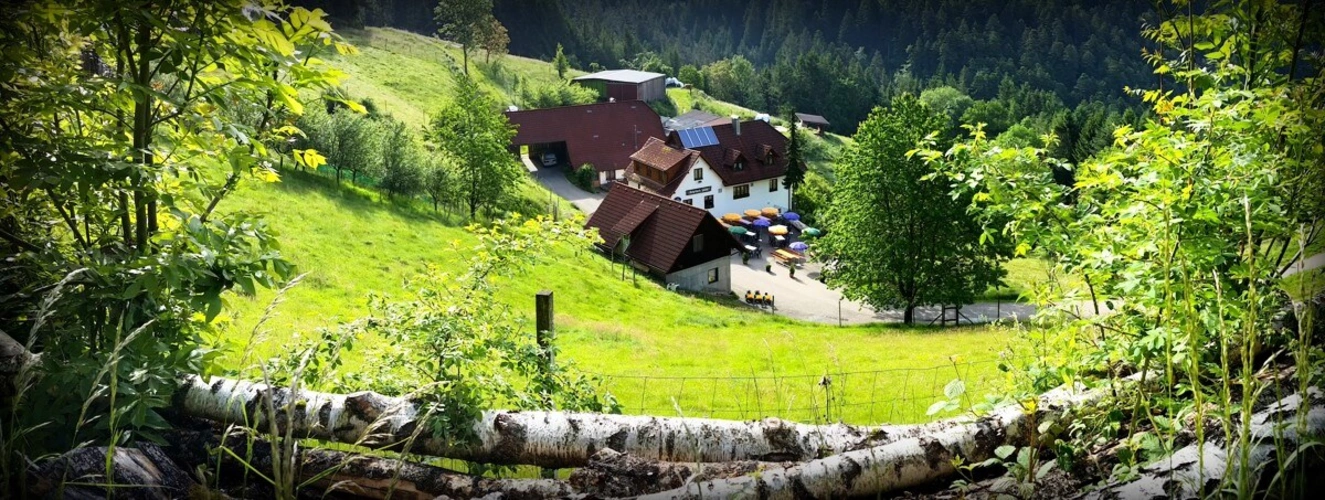 Schiltach (1)