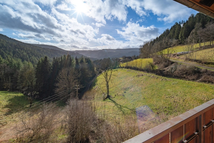 Schiltach (5)