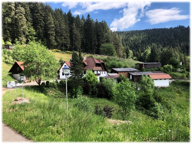 Schiltach (2)