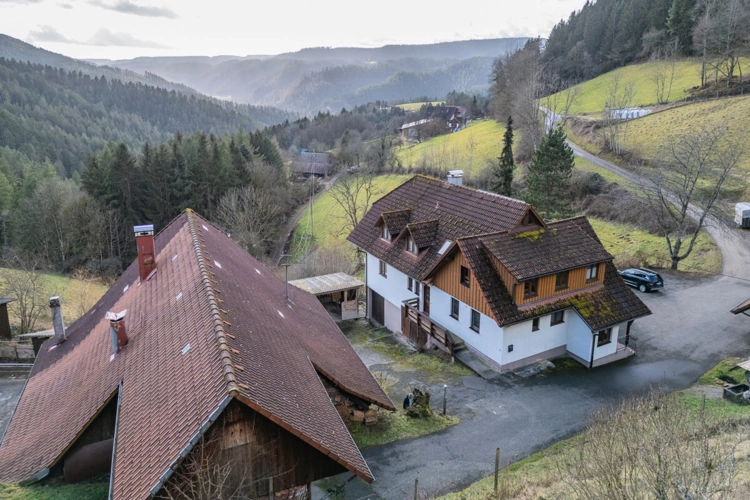 Schiltach (34)