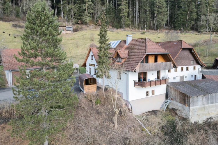 Schiltach (32)