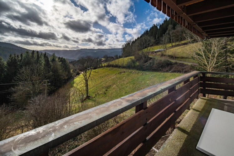 Schiltach (41)