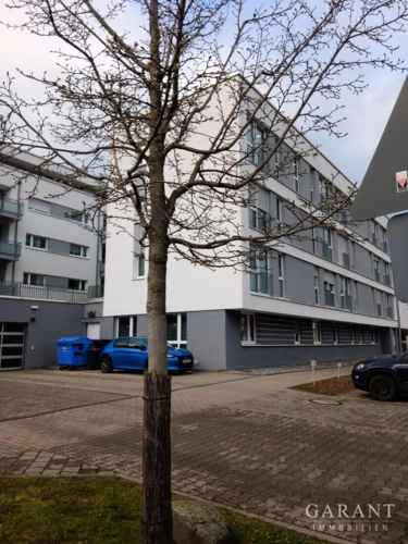 Haus Rückseite