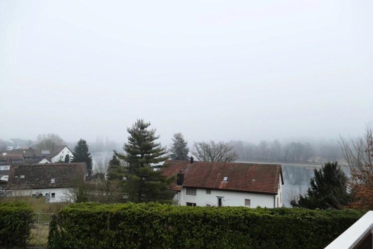 Rheinblick
