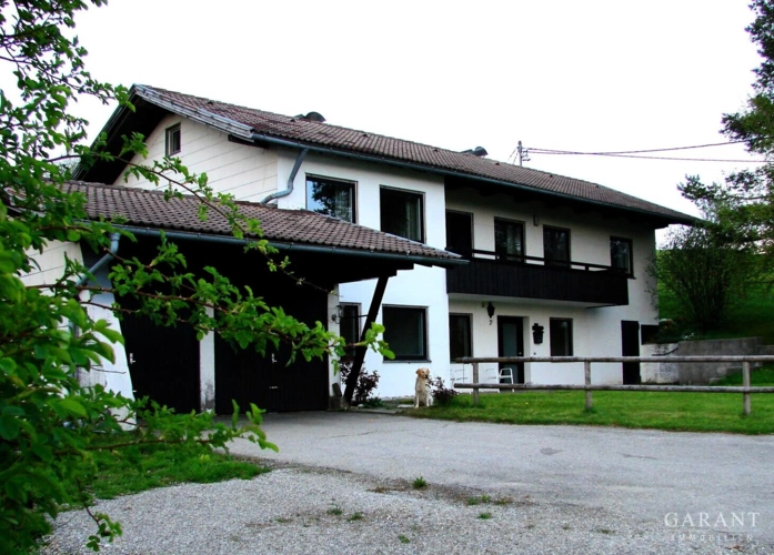 4-DSC01955