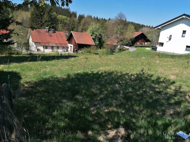 IMG 20250502 101928