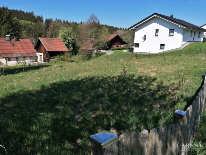 IMG 20250502 101940