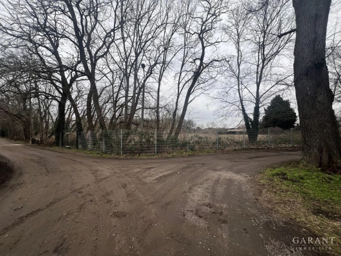 Blick aufs Grundstück