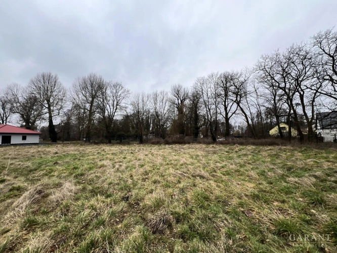 Blick Richtung Grundstücksgrenze straßenseitig