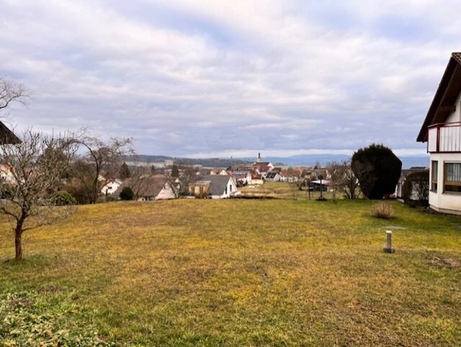 Fernblick